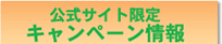 �����T�C�g����L�����y�[�����