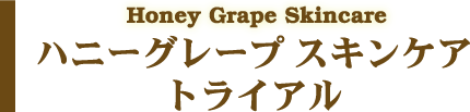Honey Grape Skincare ハニーグレープ スキンケア トライアル