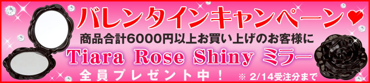 valentine_2008_02.jpg